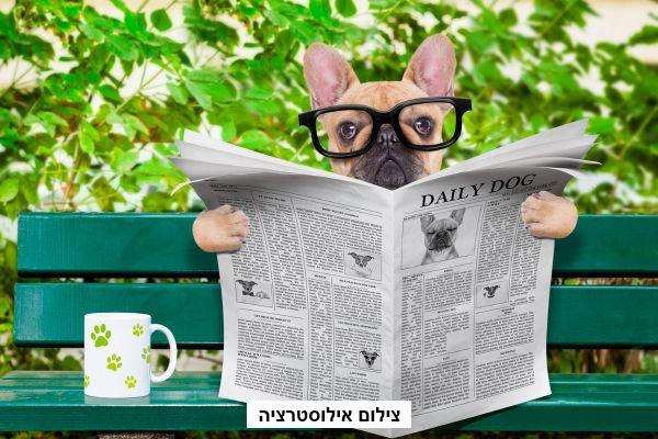 פרסום בעיתון מעריב