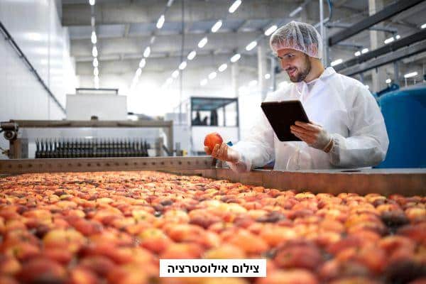 תפקידו של טכנולוג מזון