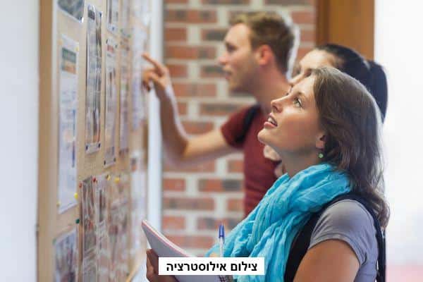 פרסום מודעת מכרז